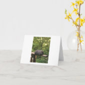 Süße Tier-Karte für jemanden, den Sie interessiere Karte (Gelbe Blume)