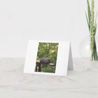 Süße Tier-Karte für jemanden, den Sie interessiere Karte