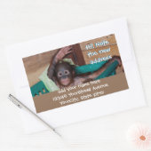 Süße Tier Neue Adressmarken Rechteckiger Aufkleber (Umschlag)