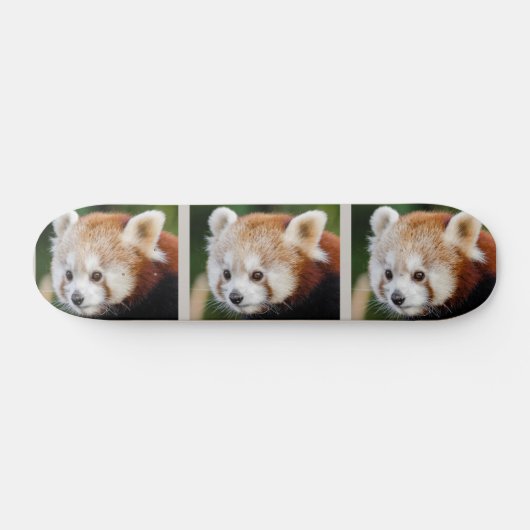 Süße Tier Red Panda Skateboard (Horizontal)
