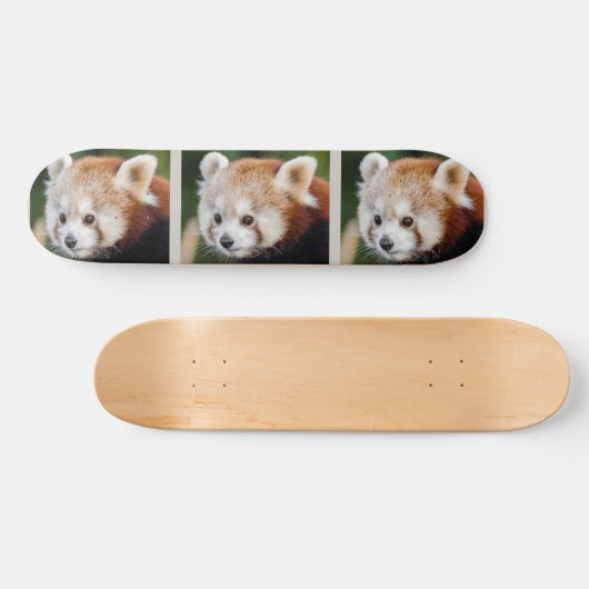 Süße Tier Red Panda Skateboard (Horizontal)