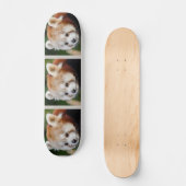 Süße Tier Red Panda Skateboard (Vorderseite)