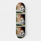 Süße Tier Red Panda Skateboard (Vorne)