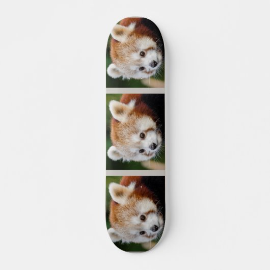 Süße Tier Red Panda Skateboard (Vorne)