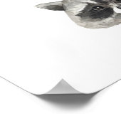 Süße Tier Sweet Racoon Animals Poster (Ecke)