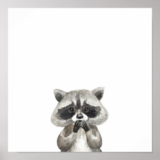 Süße Tier Sweet Racoon Animals Poster (Vorne)