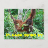 Süße Tier Swingers Party Einladung (Vorderseite)