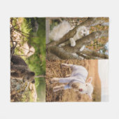 Süße Tierfotos-Decke Fleecedecke (Vorderseite (Horizontal))