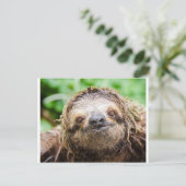 Süße Trägheit Postkarte (Stehend Vorderseite)