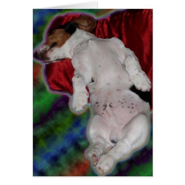 süße Träume Dachshundkarte (Vorne)