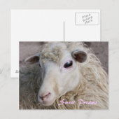Süße Träume Postkarte (Vorne/Hinten)