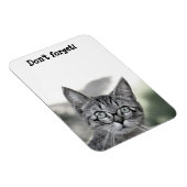 Süße überraschte Katze mit Brille Magnet (Rechte Seite)