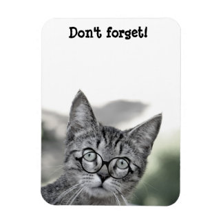 Süße überraschte Katze mit Brille Magnet