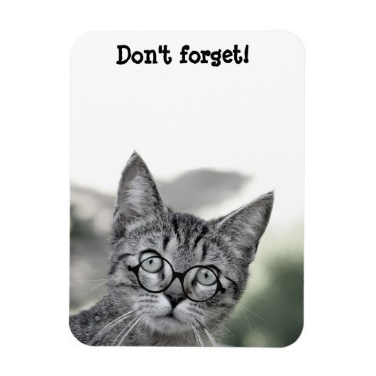 Süße überraschte Katze mit Brille Magnet (Vertikal)