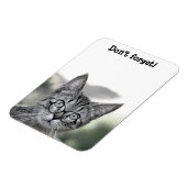 Süße überraschte Katze mit Brille Magnet (Linke Seite)
