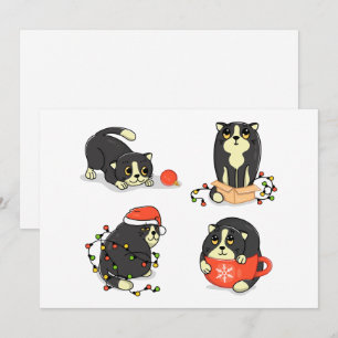 Süße und lustige Weihnachtskatzen Feiertagskarte