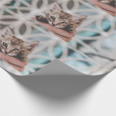 Süße und niedliche getigerte Kitten, die Sie ansch Geschenkpapier (Ecke)