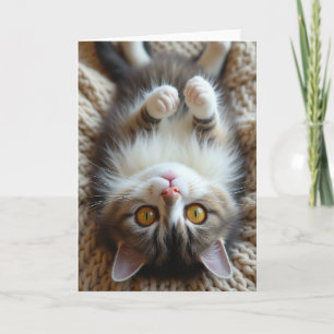 Süße Vatertag Katzen-Pose Karte