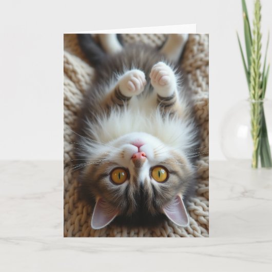 Süße Vatertag Katzen-Pose Karte (Vorderseite)