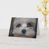 Süsse verkörpert karte (Gelbe Blume)