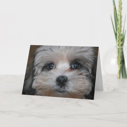 Süsse verkörpert karte (Vorderseite)