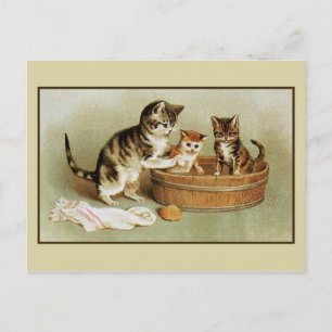 Süße viktorianische Katze badet Kätzchen in der Ba Postkarte