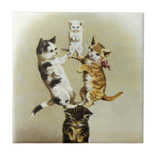 Süße viktorianische Katzen Kätzchen spielen, Humor Fliese