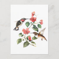 Süße Vintage-Blumen-Hummingbirds-Paar