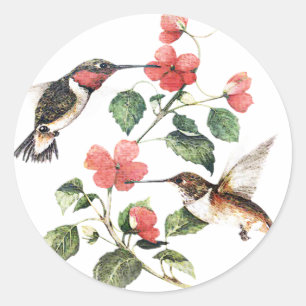 Süße Vintage-Blumen-Kolibri-Paar Runder Aufkleber