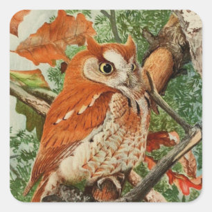 süße Vintage-Eulenliebhaber Quadratischer Aufkleber