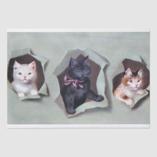 Süße Vintage-Kätzchen durchbrechen Geschenkpapier Seidenpapier (Vorderseite)