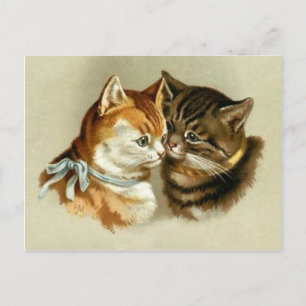 Süße Vintage-Katzen Postkarte