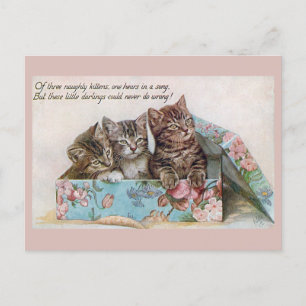 Süße Vintage-Katzen viktorianisches Gedicht Postkarte
