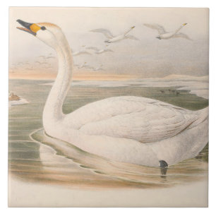 süße Vintage-Schwan-Verzierung Fliese