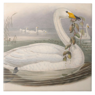 süße Vintage-Schwan-Verzierung Keramikfliese