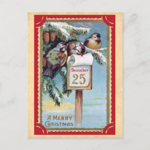 Süße Vintage-Vögel Frohe Weihnachten Postkarte