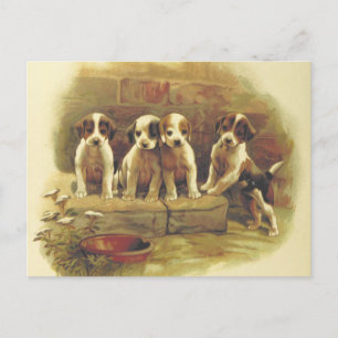 Süße Vintage-Welpen-Postkarte Postkarte