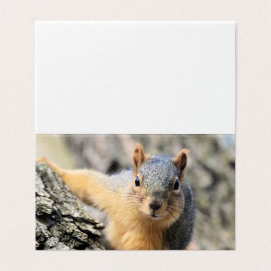 Süsse Visitenkarten (Außenseite Aufgefaltet)