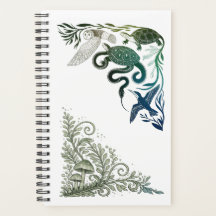 Süße Waldtiere Eule & Schildkröte Natur Illustrati