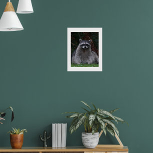 Süße Waldwaschbär-Wildtier-Fotografie Poster