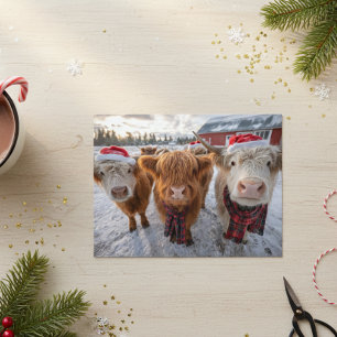 Süße Weihnachts-Hochlandrinder im Schnee Postkarte