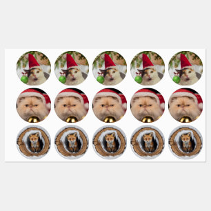 süße Weihnachts-Tier-Mischung Etiketten