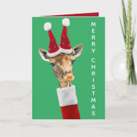 Süße Weihnachtsgiraffe mit Hut und Rollkragenpullo