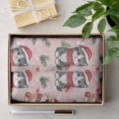 Süße Weihnachtskätzchen auf Rosa Seidenpapier (Geschenk)
