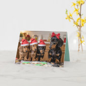 Süße Weihnachtsplätzchen Karte mit Dachshund (Gelbe Blume)