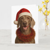 Süße Weimaraner Weihnachtskarte Karte (Gelbe Blume)