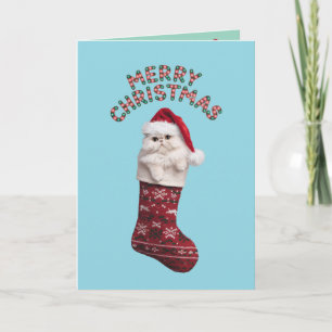 Süße weiße Perserkatze Weihnachten Karte