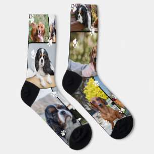 Süße weiße Pfotenabdrücke 14 Haustierfotos Socken