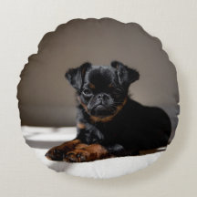 Süße Welpe auf dem Kissen.