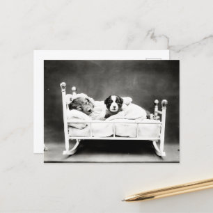 Süße Welpen im Bett Postkarte
